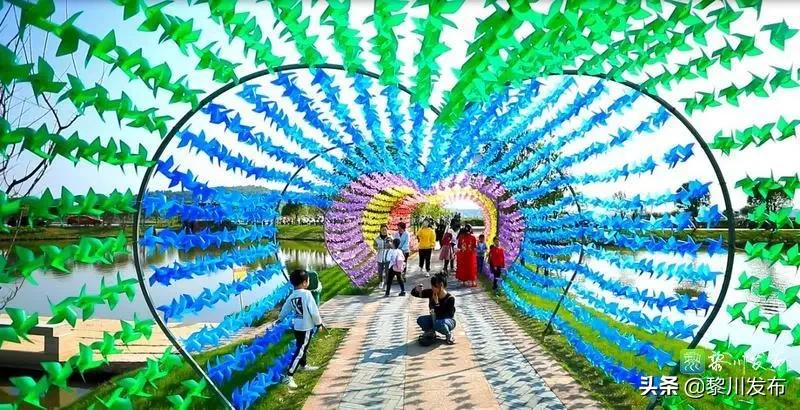 聚龙山赏花,聚龙湖畔好风景