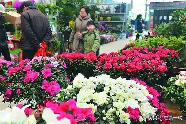 石家庄年货一条街在哪,石家庄露天年货市场哪里有