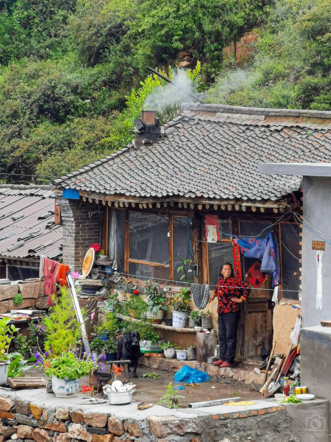 徒步穿越北驼梁完整版,穿越花海古道游记