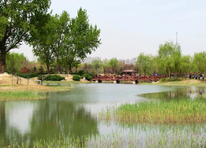 北京戒台寺郊野公园,北京燕山东岭郊野公园