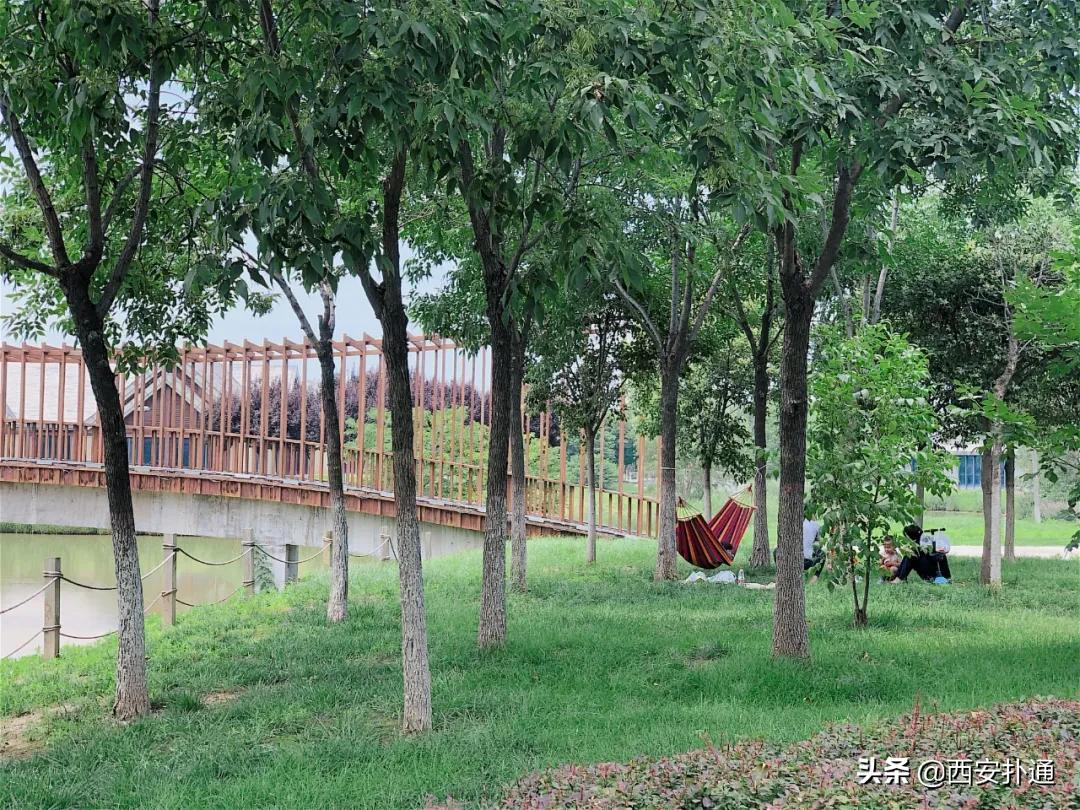 浐灞国家湿地公园最美地方,浐灞湿地公园有啥好玩的