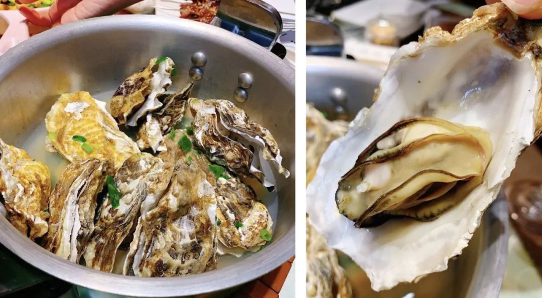 大片腰子头刀胸口，小龙虾38、乳山生蚝20一大锅，长春合隆这店行