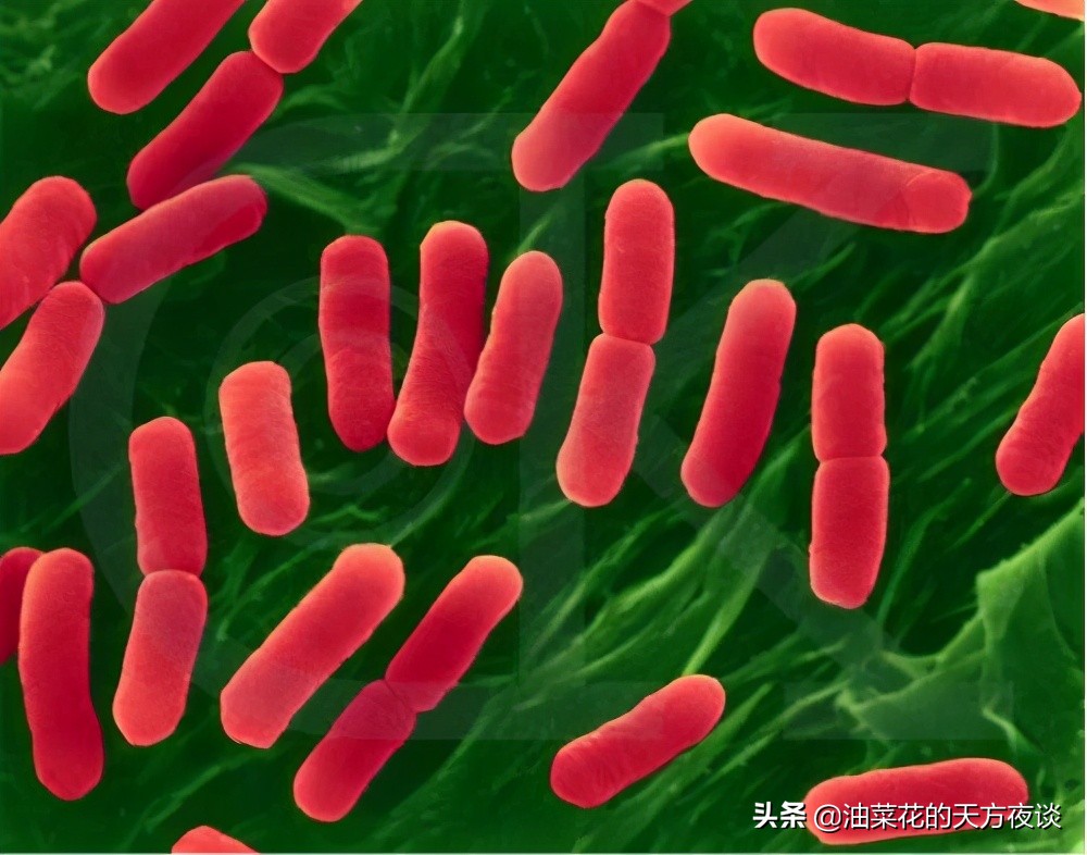 一招判断是不是尿路感染,一招判断自己是否有尿路感染