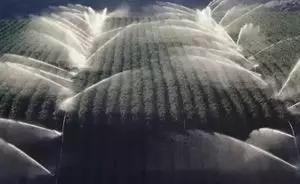 2022年家庭农场有土地流转补贴吗,有自己的农场如何申请补贴