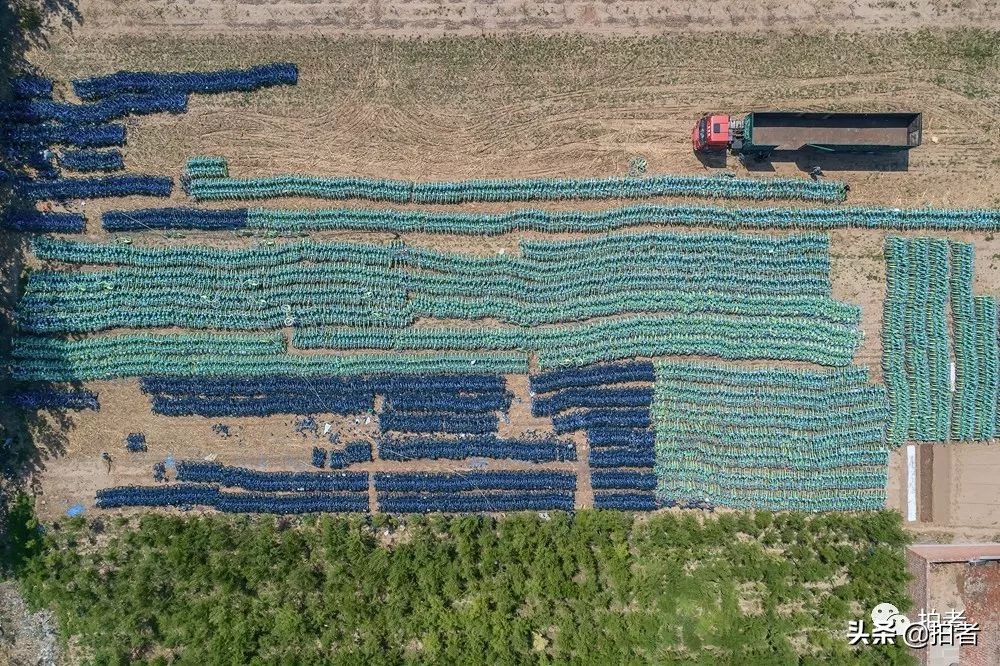 吴国勇共享单车,对话吴勇