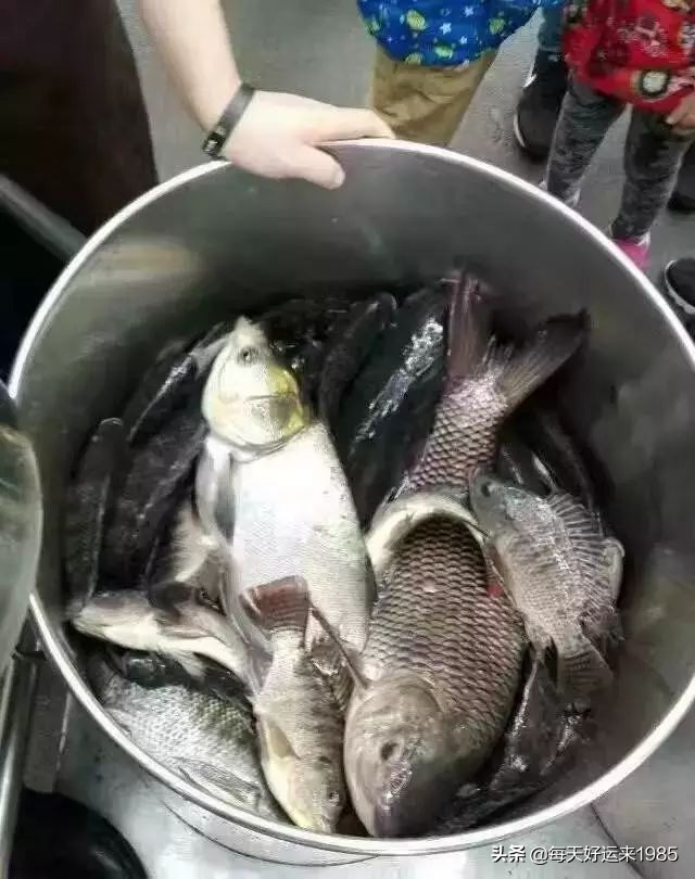 广州几所大学介绍,在广州的大学有哪些