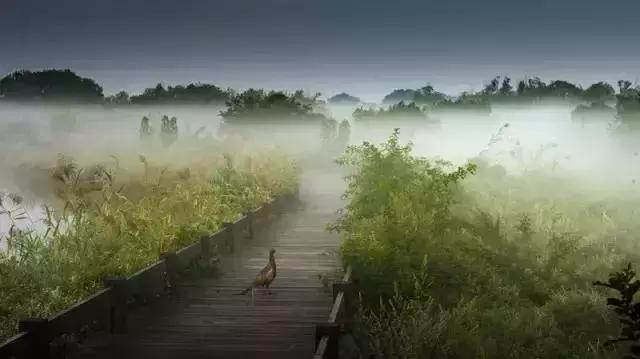 河北值得去的海岛旅游,周末驾到2013