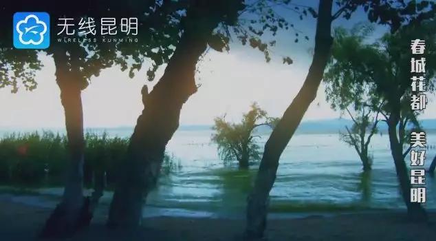 昆明哪有好玩的地方,昆明市内有什么好玩的地方