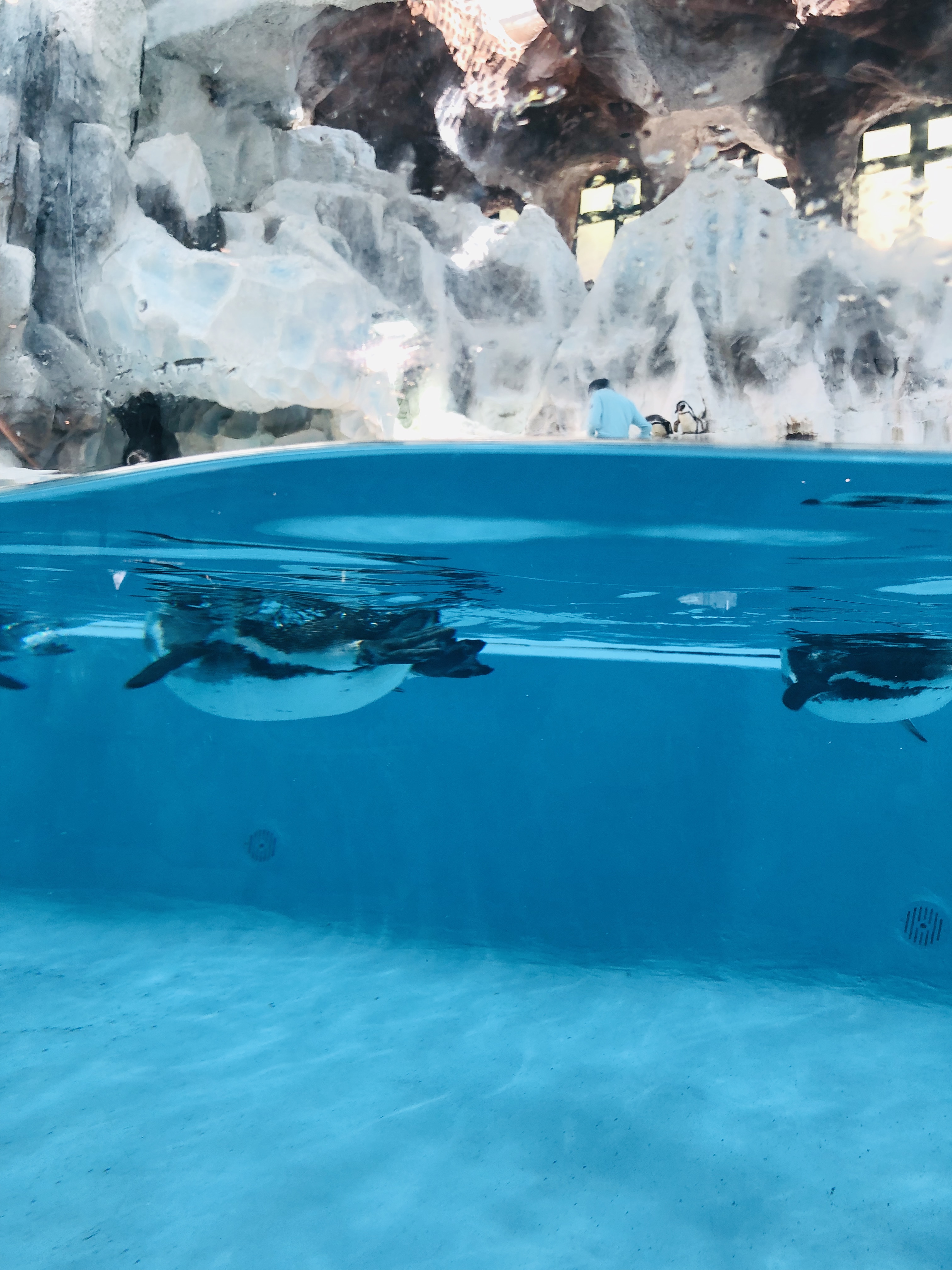 寒假带孩子去长隆玩什么,长隆寒假旅游攻略