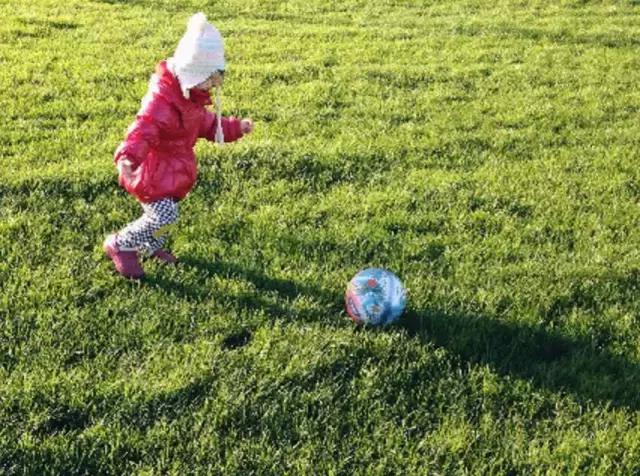 0-3岁儿童幼儿园游戏亲子益智游戏,蒙氏幼儿小游戏