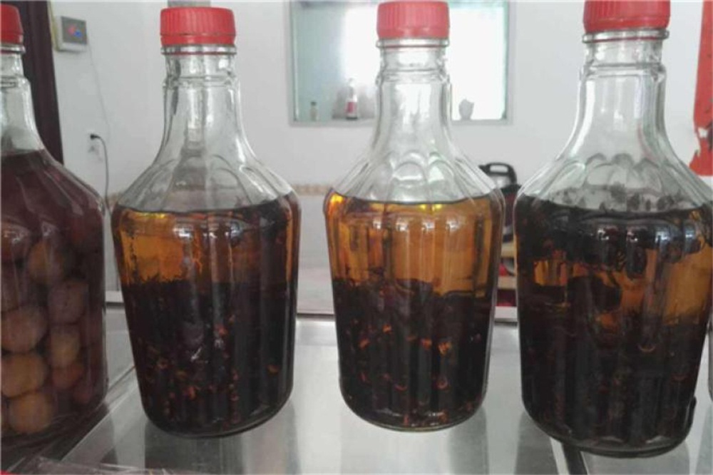 虎头蜂酒制作,酿蜂酒最佳配方