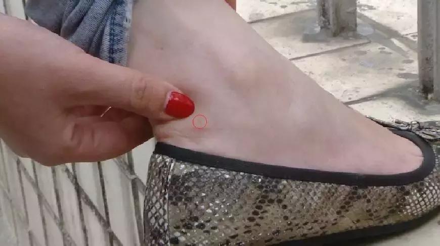 广西红火蚁咬伤事件,红火蚁入侵防城港市