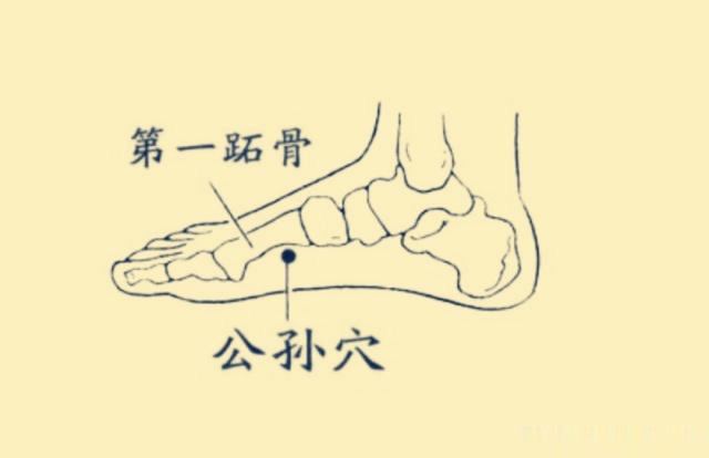 胃下垂了怎么办？不要慌，不要急，艾灸来帮助你了