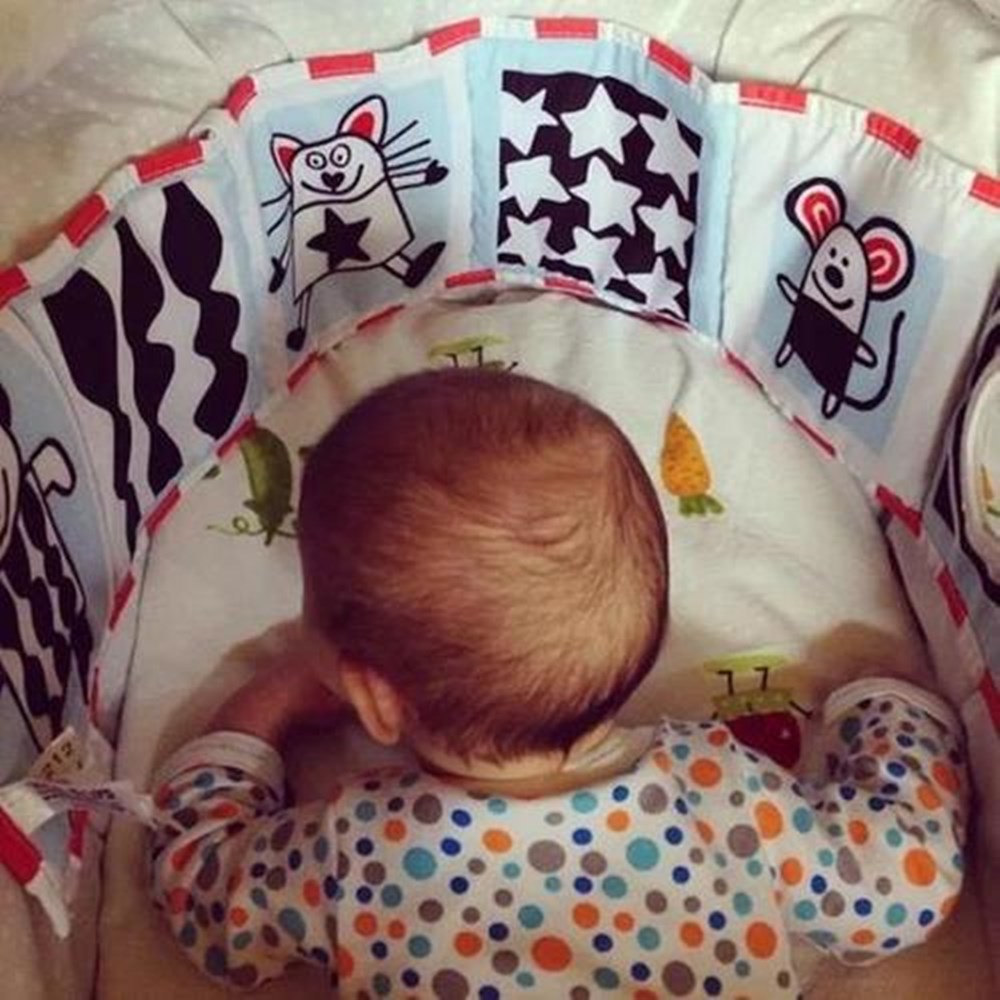 网红巴克球,巴克球对成年人的影响