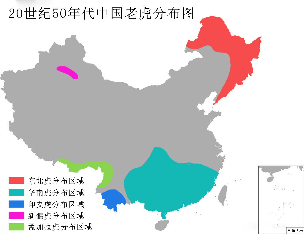 虎豹进化史,中国虎豹现状