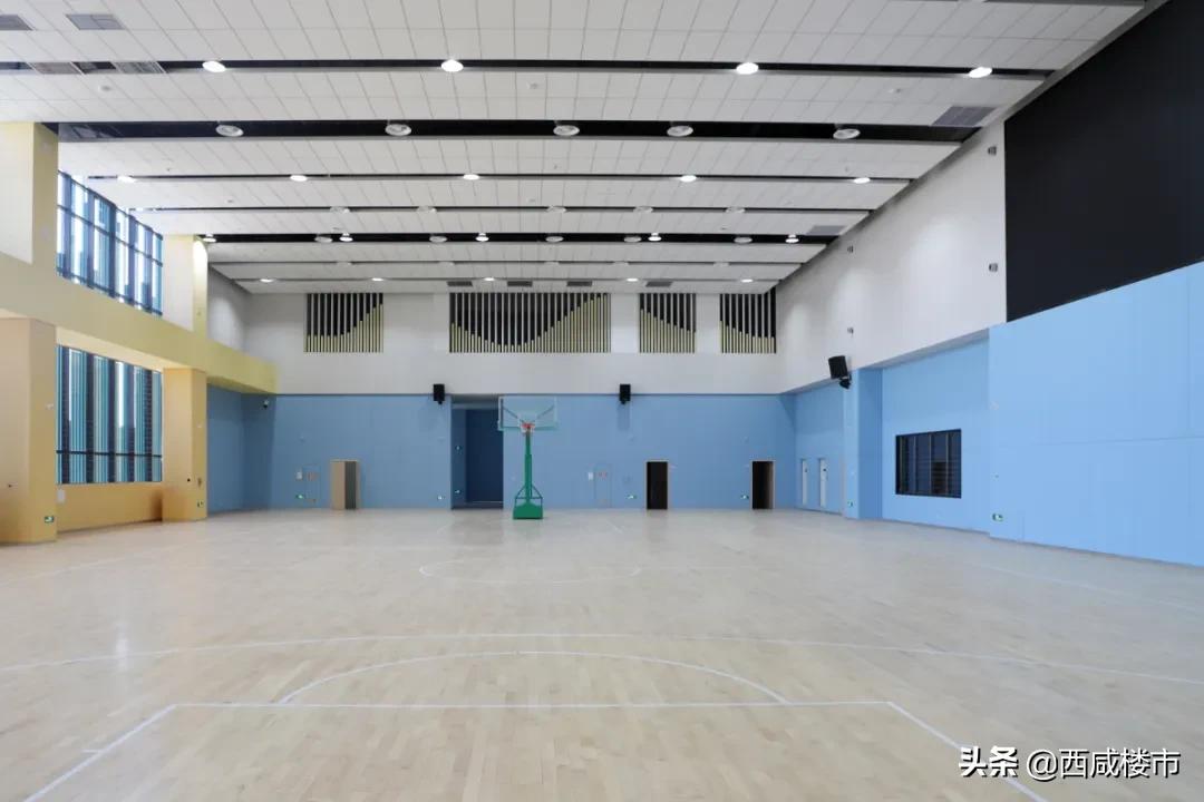 新增的231个学位是什么,5年内新增438万公办学位