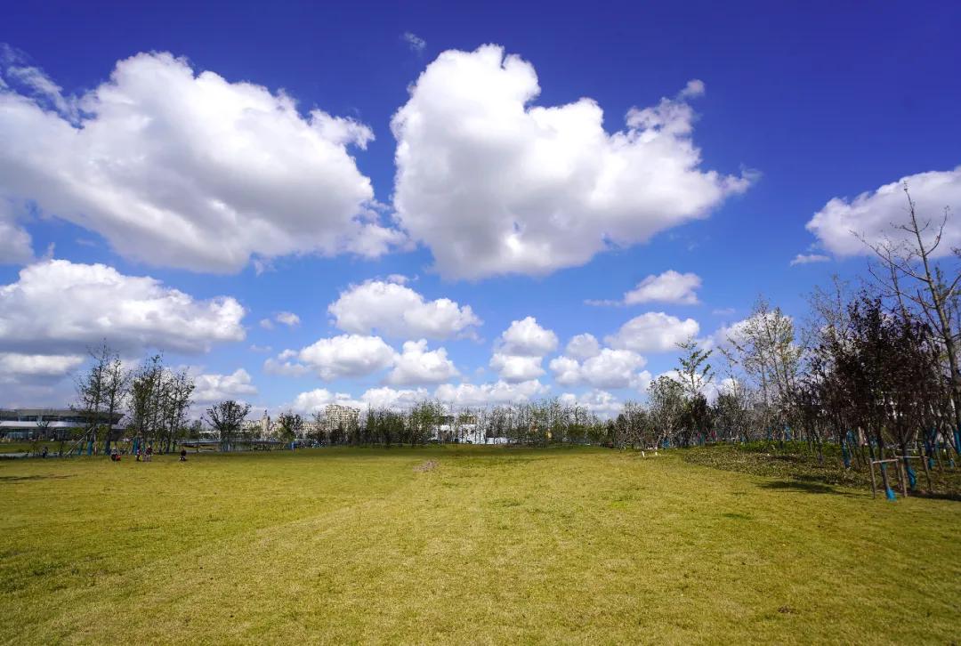 盐龙体育公园开放时间,盐龙体育公园开园仪式