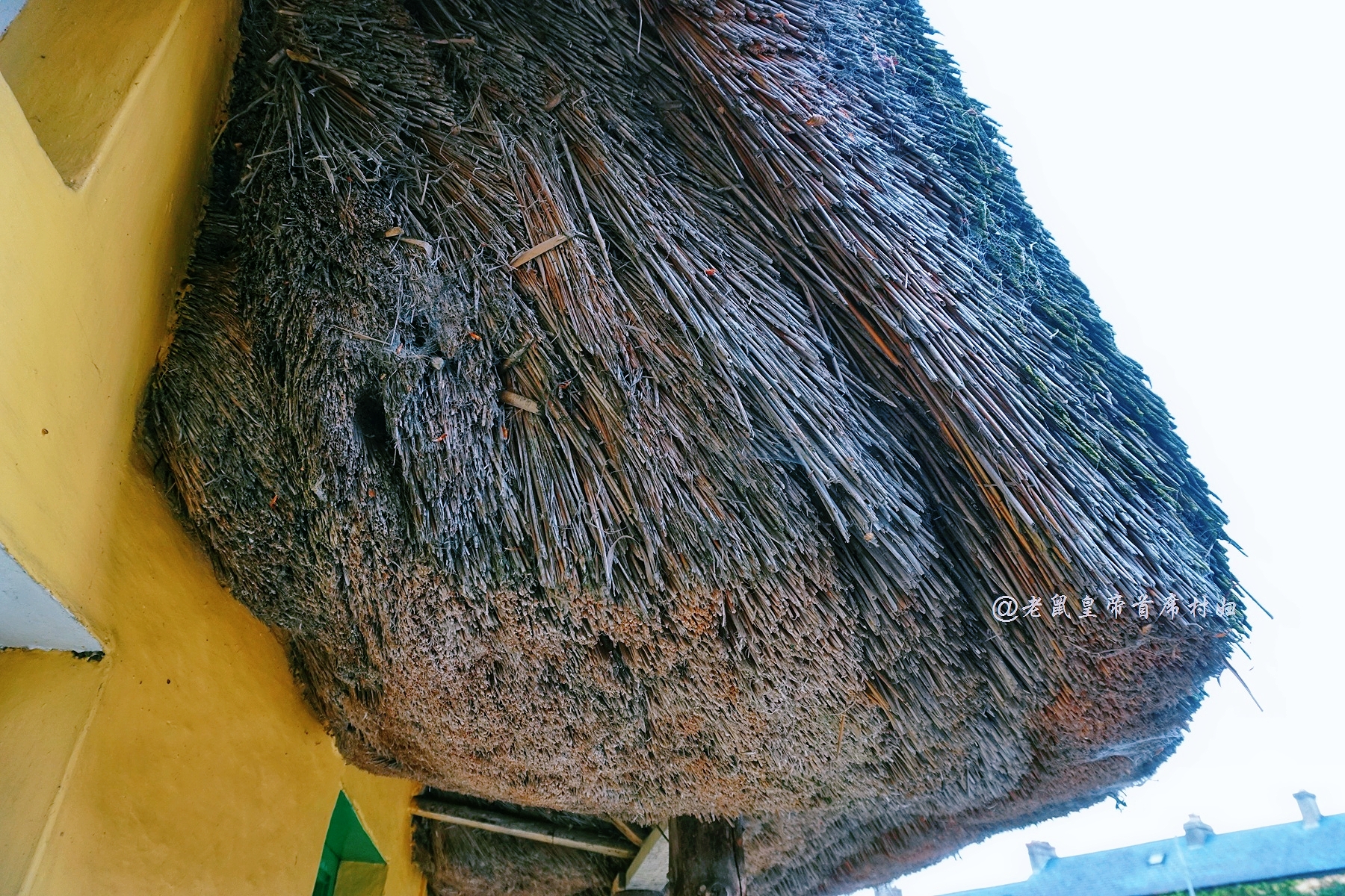 爱尔兰为什么那么多人向往,爱尔兰阿黛尔小镇