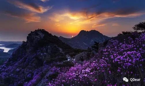 青岛最适宜旅游的景点有几个,青岛过年免费旅游景点