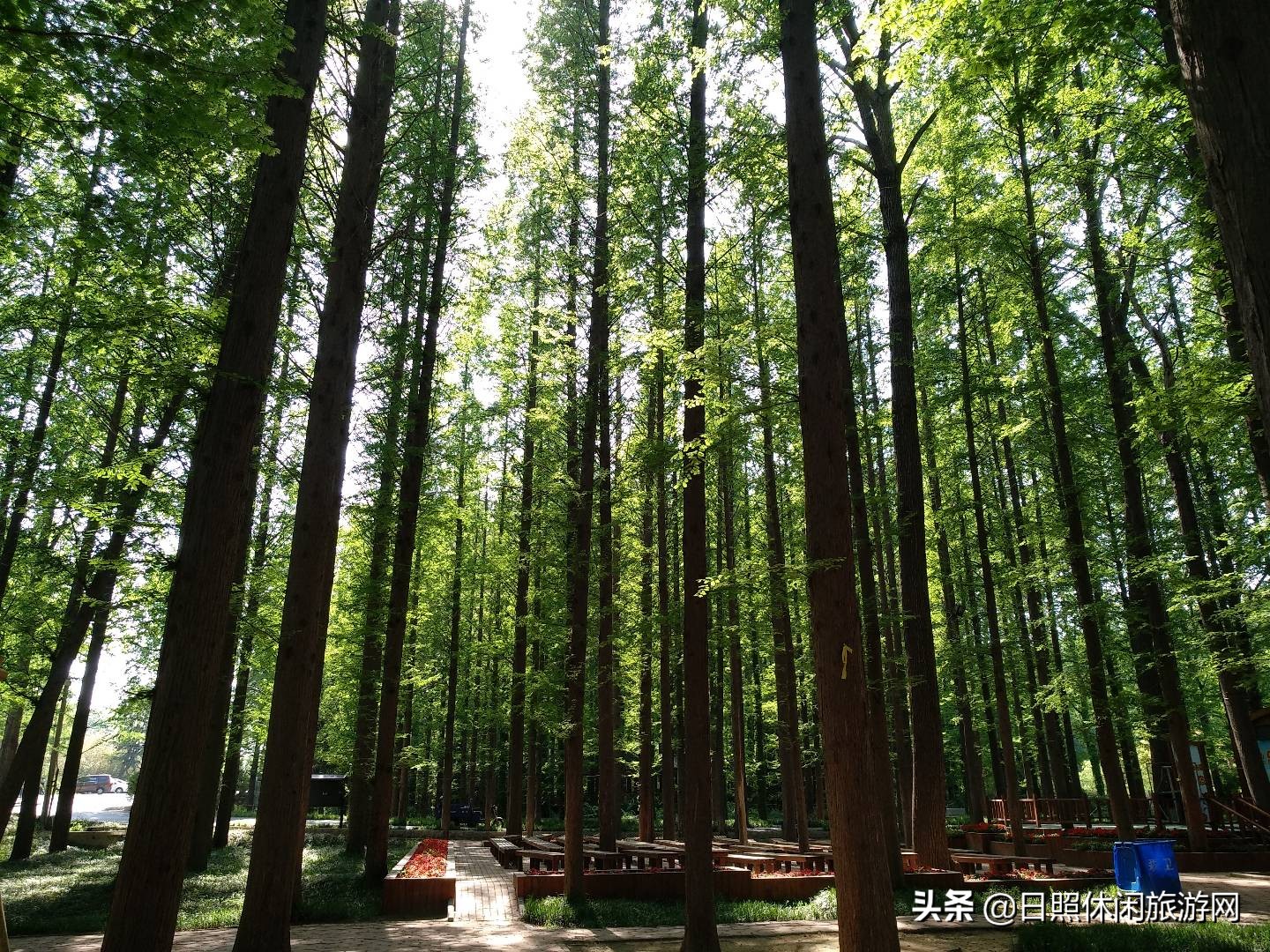 日照旅游攻略自驾游带孩子,从江苏出发带孩子自驾游路线推荐