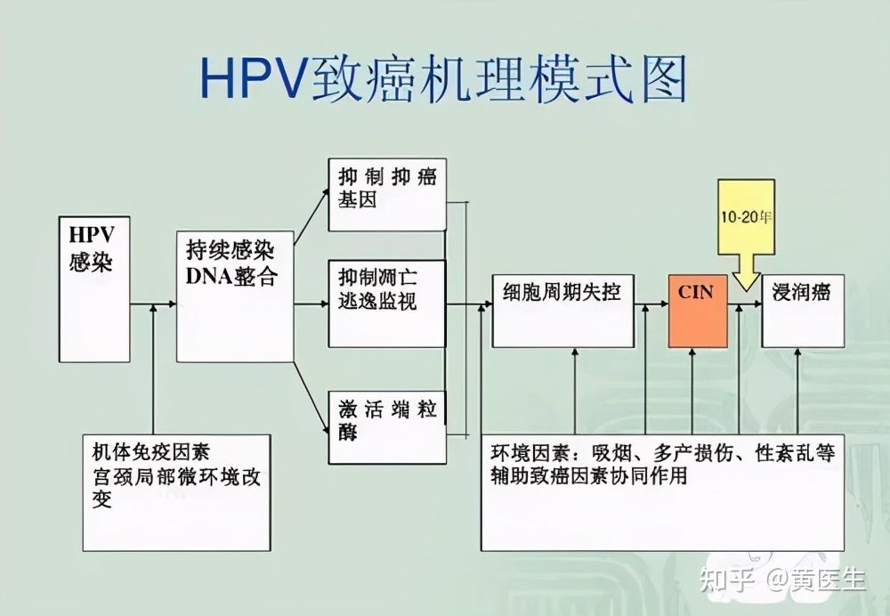 有关hpv的小常识,十个问题带你了解icu