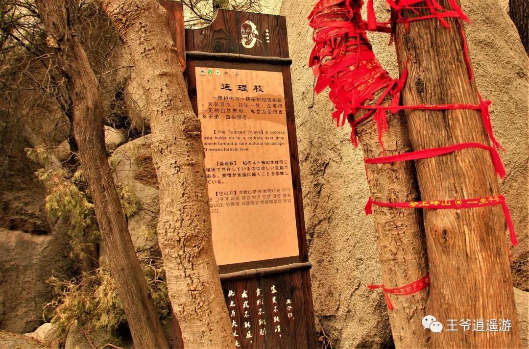 邹城峄山石头怎么形成的,峄山的石头是怎么形成