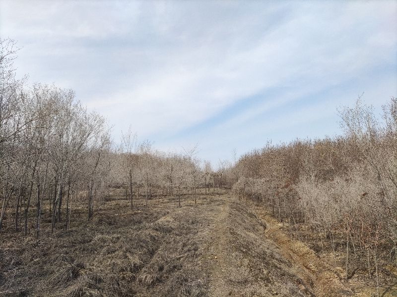 乌鲁木齐免费玩的地方运动场地,乌鲁木齐游玩适合烧烤的地方