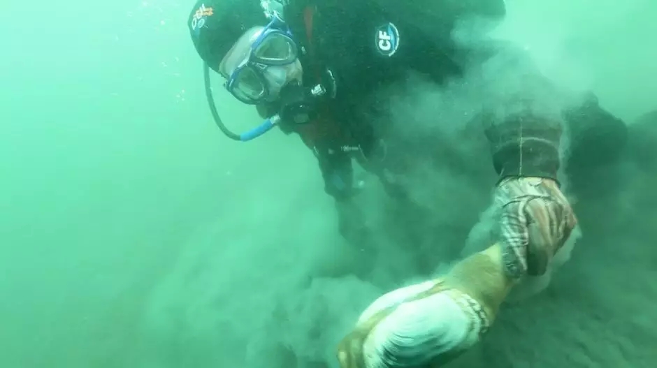 象拔蚌究竟好不好吃,象拔蚌好吃嘛