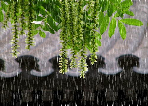 关于清明节的古诗10首简短,清明请记住这些绝美的清明诗词