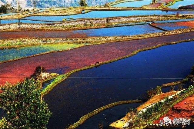 刘智远：摩托江湖的行者