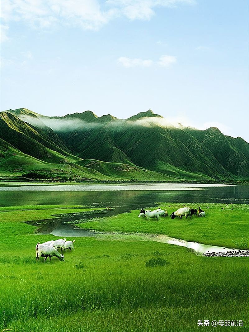 匠心十五年陈酿,匠心10年测试