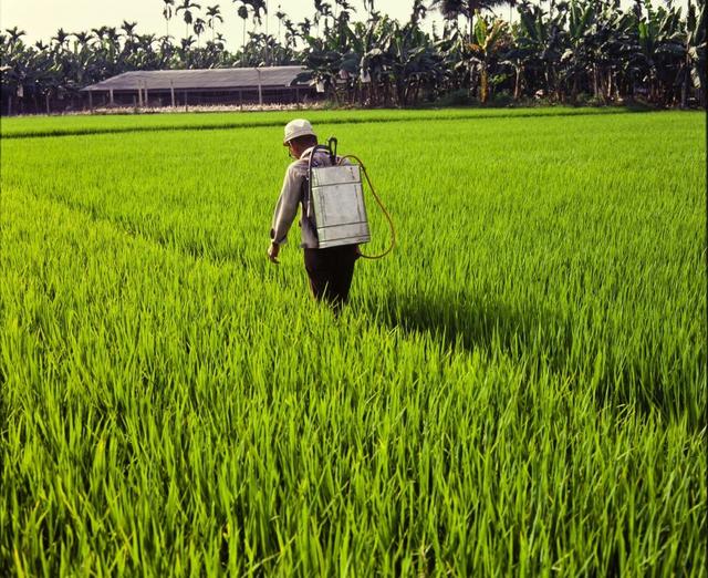 十种常见农药大全,100种常见农药大全