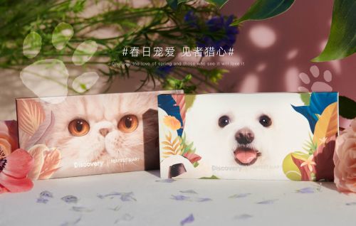 完美日记最值得入手的彩妆,完美日记彩妆属于什么档次的牌子