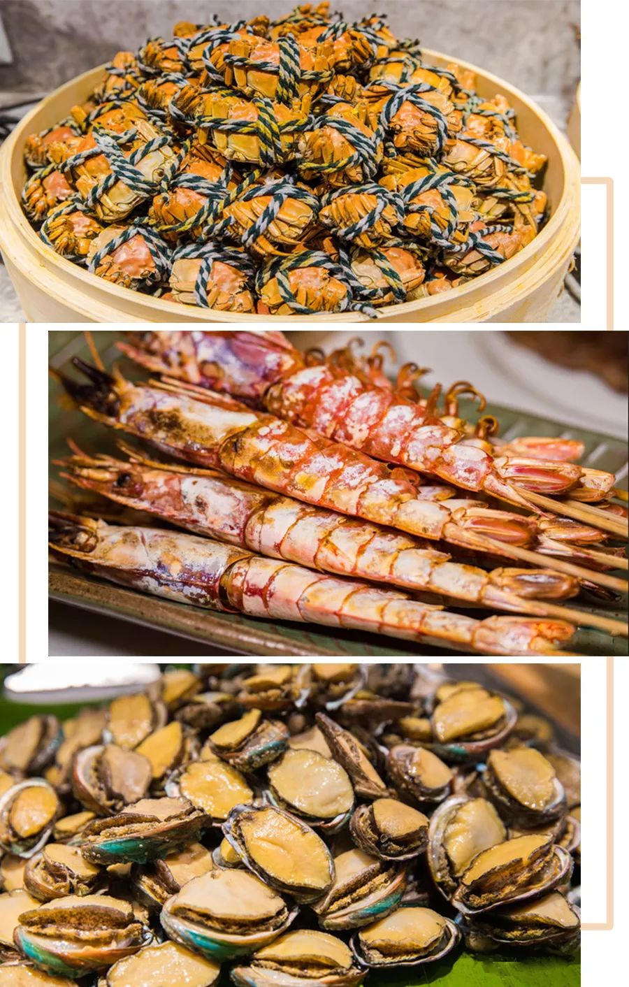 钖呯緤姣涘墎鎵嬪厷,3鏈堟渶鍚庝竴娉㈣枀缇婃瘺鎸囧崡