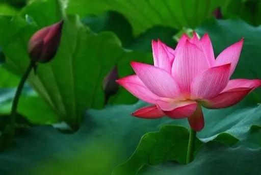 53种病不能输液规定,国家规定53种疾病不准输液