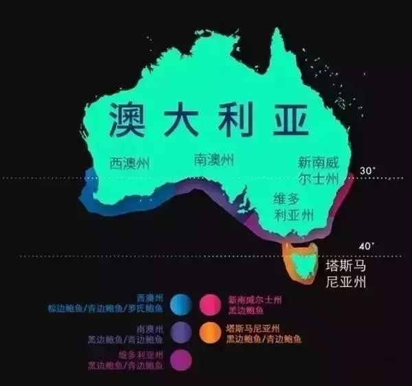 世界顶级鲍鱼菜图片,世界鲍鱼体型十大排行榜