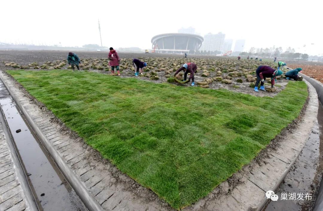 最好的人工草坪足球场,巢湖免费足球场