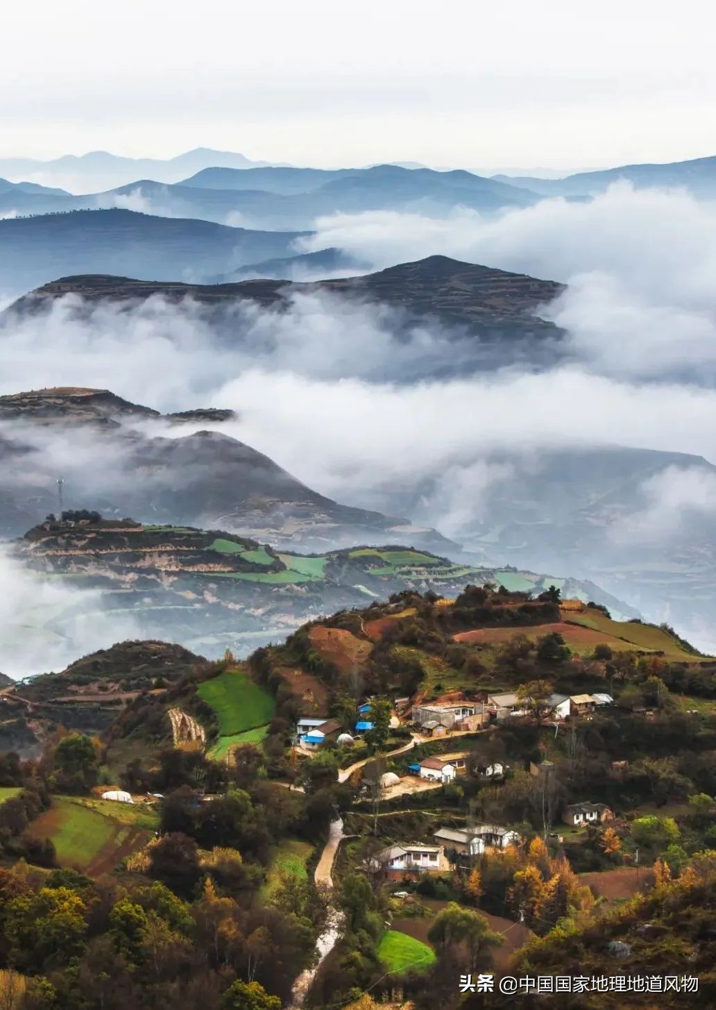 中国薯都地址在哪里,中国薯都为什么是定西