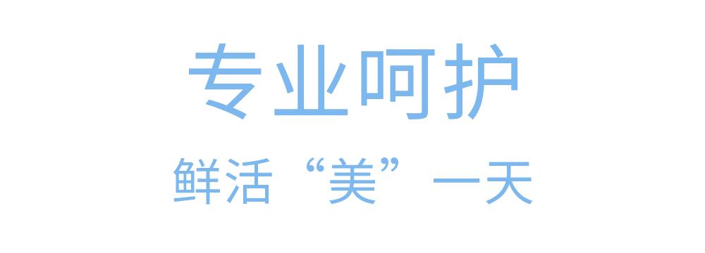 雅顿胶囊套装,雅顿胶囊