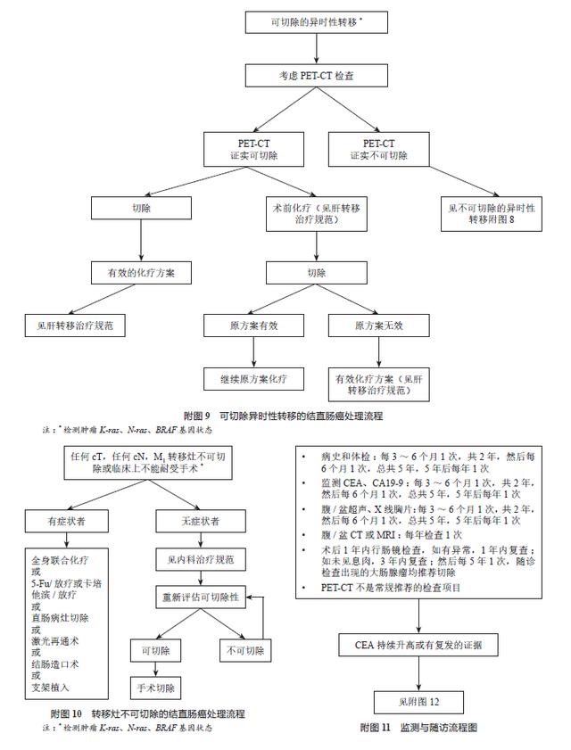 中国结直肠癌诊疗规范（2017年版）