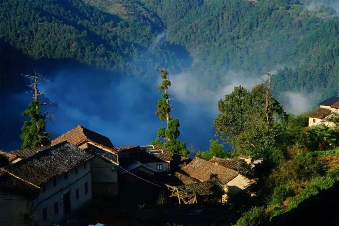 浙江最有乡愁的美丽乡村,中国最美乡村田园生态休闲之旅