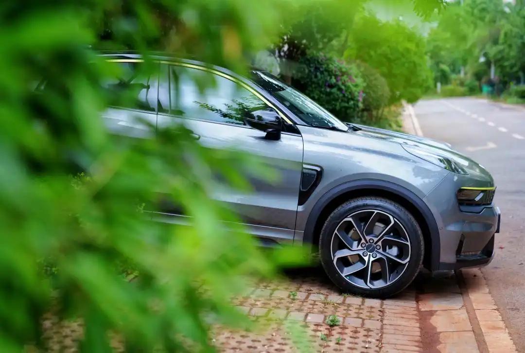 05号种草达人介绍 (05号种草达人图片)