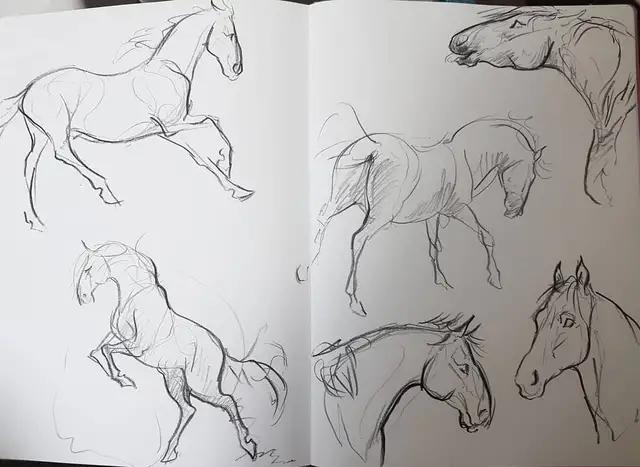马怎么画简单图画,马怎么画更真实