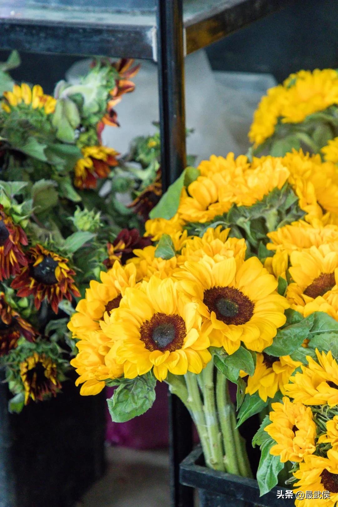 成都便宜的大花市,成都街边卖花一元一束