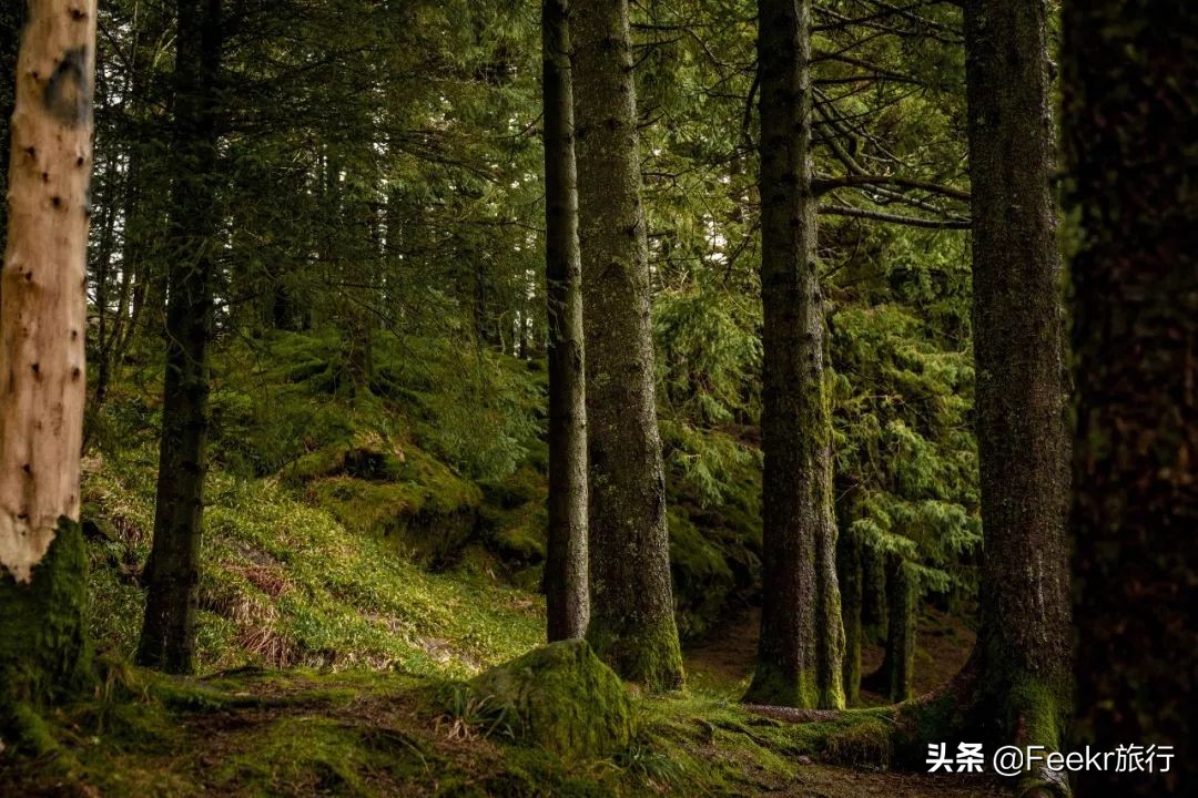 王珞丹35岁庆生照,王珞丹的生日是几月几号