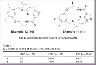 澶氬璺ㄥ浗鑽紒,璺ㄥ浗闆嗗洟鐮斿埗鐨勬姉鐧屾敞灏勫墏
