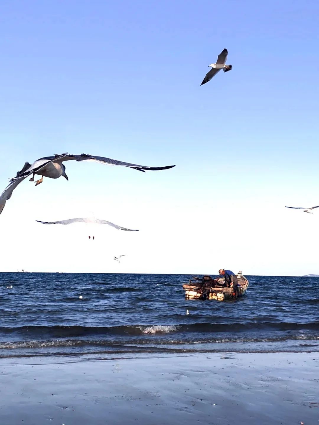 3天2夜游！它是被低估的海滨小城，藏着独属于11月的盛大美景|冬游齐鲁