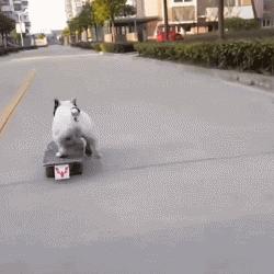 致敬项海王，股生PPT