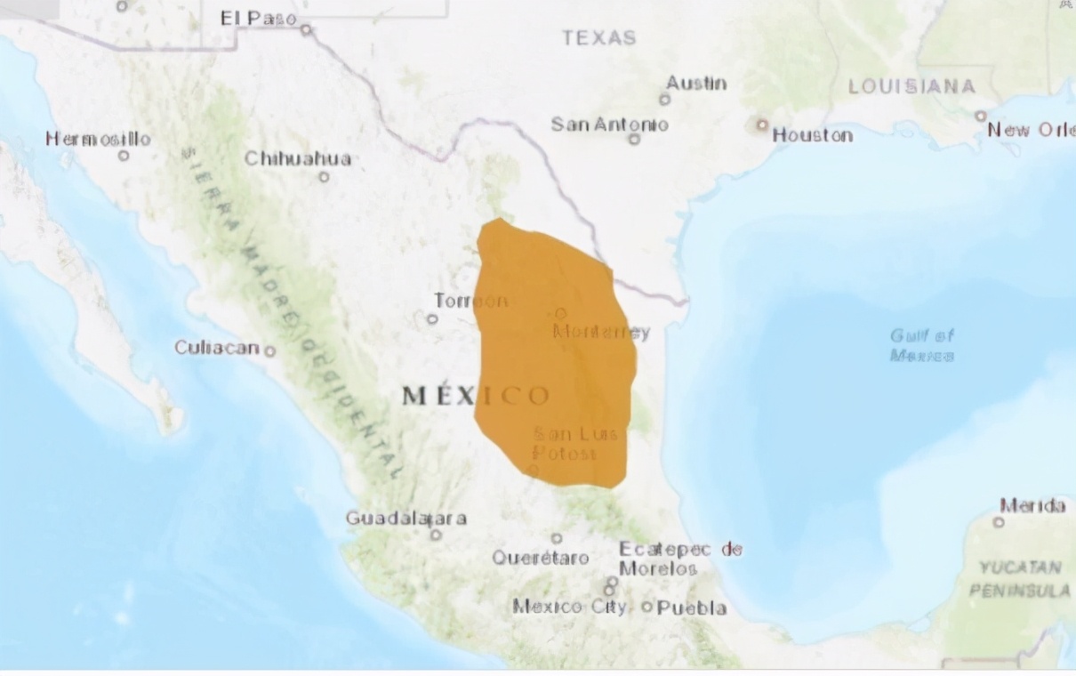 仙人掌要怎么养才能结果,仙人掌怎样才长叶子