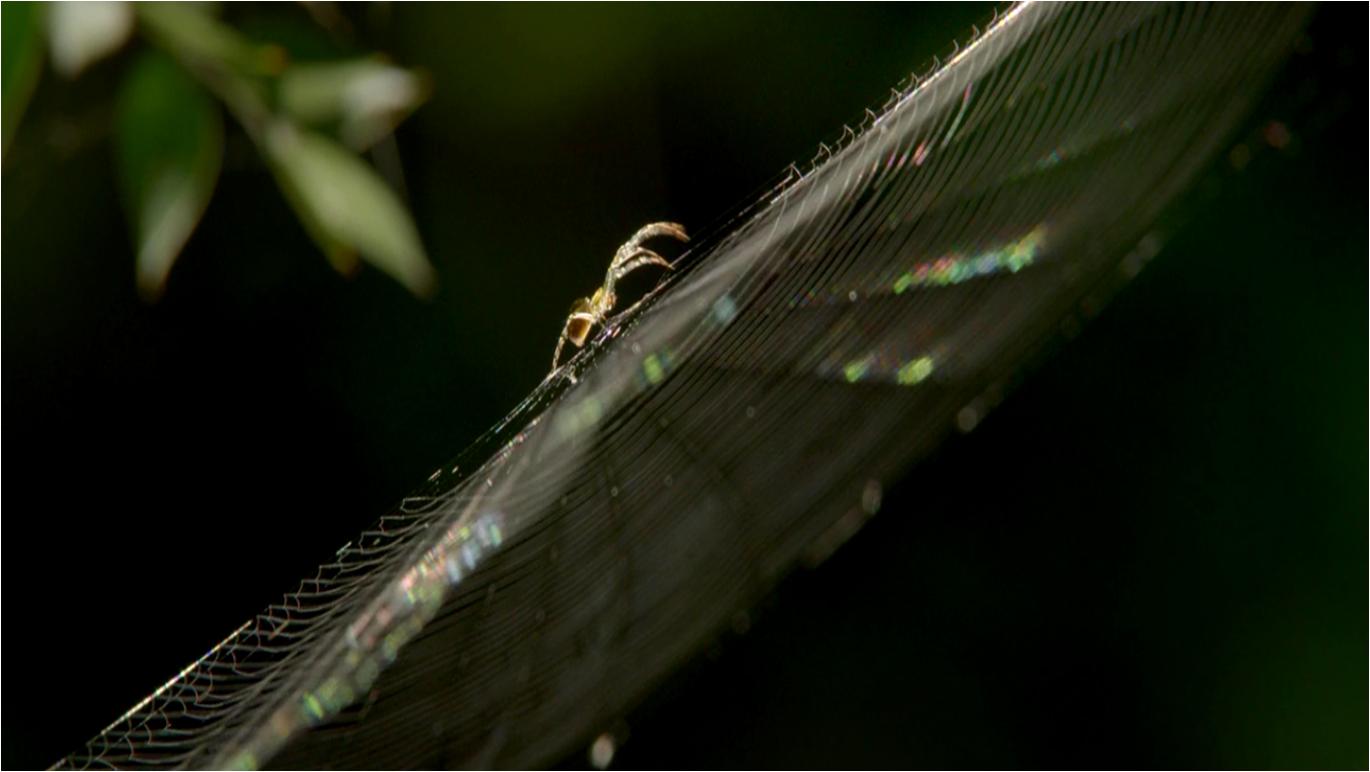 观赏地球的壮丽景观,看地球四季变换的视频